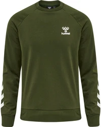 hummel Sweater hmlISAM 2.0 Sweatshirt Dunkelgrün/Grün