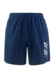 PUMA Badehose SWIM MEN CATS MID SHORTS Dunkelblau/Blau