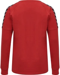 hummel Rundhalspullover Authentic Training Sweatshirt F5001 Rot/Dunkelrot