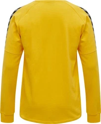 hummel Rundhalspullover Authentic Training Sweatshirt F5001 Gelb