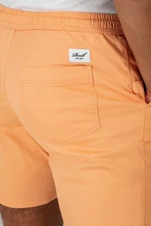 REELL Shorts Reflex Easy Short 