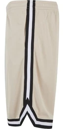 Shorts Stripes Mesh Shorts
