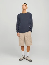 JACK & JONES Shorts JJCOLE CAMPAIGN Khaki