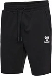 hummel Shorts Hmllegacy 