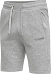 hummel Shorts Hmllegacy Grau/Hellgrau/Silber