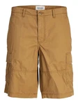 JACK & JONES Shorts JJCOLE CAMPAIGN Braun/Khaki