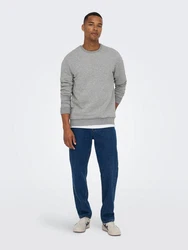 Only & Sons Sweatshirt 'Ceres' hellgrau