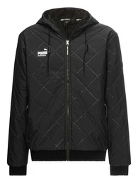 Winterjacke ESSENTIALS mit Kapuze und Steppmuster fr Herren