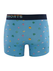 Phil & Co. Retro Pants All Styles Boxershorts Trunks Herren Dunkelblau/Blau/Rot/Lila