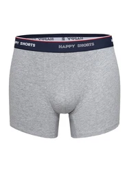 Phil & Co. Retro Pants All Styles Boxershorts Trunks Herren Dunkelblau/Grau/Rot