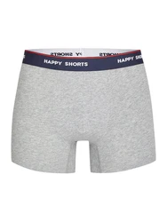 Phil & Co. Retro Pants All Styles Boxershorts Trunks Herren Dunkelblau/Lila/Grau