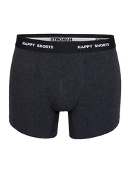 Phil & Co. Retro Pants All Styles Boxershorts Trunks Herren Dunkelblau/Grau/Blau/Hellblau