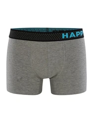 Phil & Co. Retro Pants All Styles Boxershorts Trunks Herren Grau/Dunkelgrün/Türkis/Grün/Dunkelblau