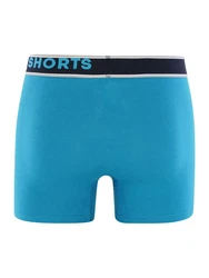 Phil & Co. Retro Pants All Styles Boxershorts Trunks Herren Dunkelblau/Lila/Blau