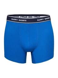 Phil & Co. Retro Pants All Styles Boxershorts Trunks Herren Dunkelblau/Blau/Grau
