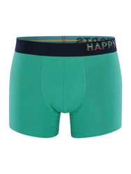 Phil & Co. Retro Pants All Styles Boxershorts Trunks Herren Grün/Dunkelblau/Türkis/Blau/Mintgrün