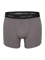 Phil & Co. Retro Pants All Styles Boxershorts Trunks Herren Grau/Blau/Hellblau/Mischfarben