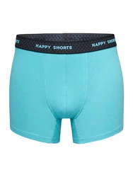 Phil & Co. Retro Pants All Styles Boxershorts Trunks Herren Hellblau/Grau/Türkis/Grün
