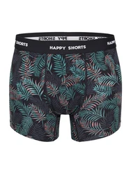 Phil & Co. Retro Pants All Styles Boxershorts Trunks Herren Dunkelgrün/Grün/Türkis