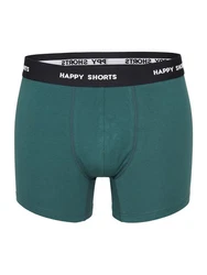 Phil & Co. Retro Pants All Styles Boxershorts Trunks Herren Dunkelgrün/Grün/Türkis
