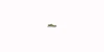 Hey Dude Slipper Wally Coastline Olive
