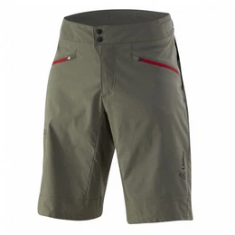 Lffler Shorts Lffler M Bike Shorts Pyce-g Csl Herren Shorts