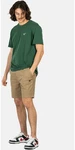 REELL Shorts Reflex Easy Cargo Short 