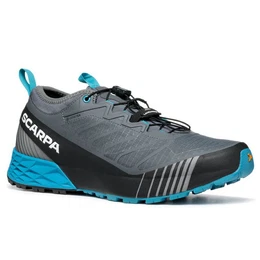 Ribelle Run GTX Herren Trailrunningsschuh grau/blau Laufschuh