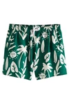 Next Badeshorts mit Print 