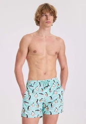 WESTMARK LONDON Badeshorts WMPATTERN SWIMSHORTS Mintgrün/Grün/Creme/Hellblau/Türkis/Blau