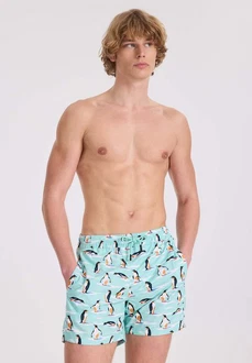 WESTMARK LONDON Badeshorts WMPATTERN SWIMSHORTS Mintgrün/Grün/Creme/Hellblau/Türkis/Blau