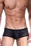 Hipster Panties aus Spitze image