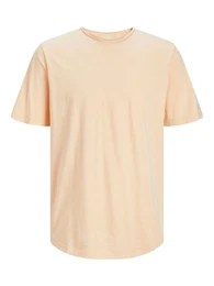 T-Shirt JJEBasher (1-tlg)