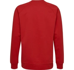 hummel Sweatshirt Logoprint Sport Sweatshirt Pullover mit Raglanärmel (7250) Rot/Braun/Orange