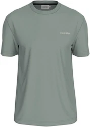 Calvin Klein T-Shirt ENLARGED BACK LOGO T-SHIRT mit Logodruck 