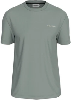 Calvin Klein T-Shirt ENLARGED BACK LOGO T-SHIRT mit Logodruck