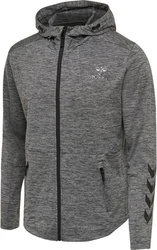 Hummel Sportsweatjacke Aston 
