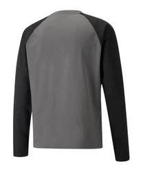 PUMA teamLIGA Training Sweatshirt Dunkelgrau/Grau