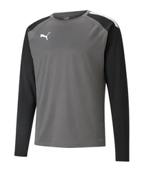 PUMA teamLIGA Training Sweatshirt Dunkelgrau/Grau
