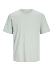 Jack & Jones T-Shirt JJEORGANIC BASIC TEE SS O-NECK 