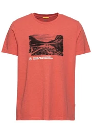 Kurzarmshirt mit groem Frontprint