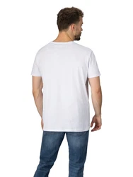 DENIMFY T-Shirt Herren Printshirt DFNuri Regular Fit Creme/Blau/Weiß/Grau/Braun