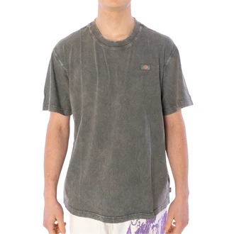 Dickies T-Shirt Newington