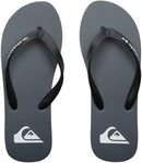Quiksilver MOLOKAI CORE Zehentrenner Silber/Grau/Blau