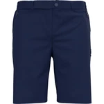 Odlo Funktionsshorts Ascent Light Dunkelblau/Blau