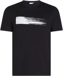 Calvin Klein T-Shirt BRUSH LOGO T-SHIRT Schwarz/Dunkelblau