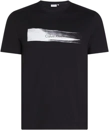 T-Shirt BRUSH LOGO T-SHIRT mit Logoschriftzug