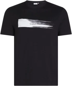Calvin Klein T-Shirt BRUSH LOGO T-SHIRT