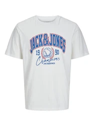 Jack & Jones T-Shirt JorPalms Regular-Fit Basic Blau/Weiß/Hellblau