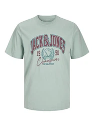 Jack & Jones T-Shirt JorPalms Regular-Fit Basic Grün/Hellblau/Türkis/Hellgrün/Blau
